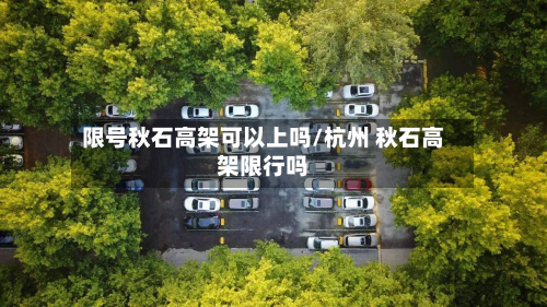 限号秋石高架可以上吗/杭州 秋石高架限行吗-第3张图片