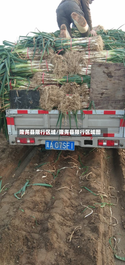 隆尧县限行区域/隆尧县限行区域图-第2张图片
