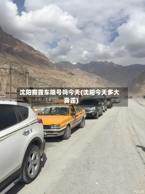 沈阳雾霾车限号吗今天(沈阳今天多大雾霾)-第2张图片