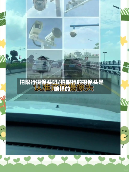 拍限行摄像头吗/拍限行的摄像头是啥样的-第3张图片