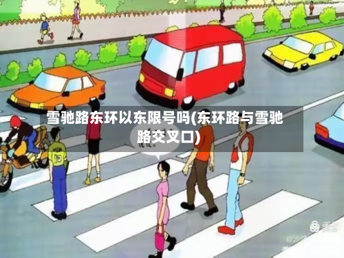 雪驰路东环以东限号吗(东环路与雪驰路交叉口)