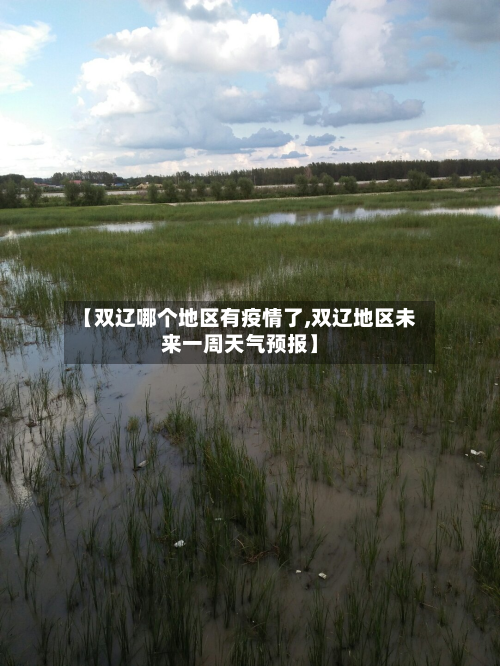 【双辽哪个地区有疫情了,双辽地区未来一周天气预报】