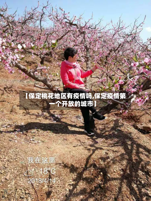 【保定桃花地区有疫情吗,保定疫情第一个开放的城市】