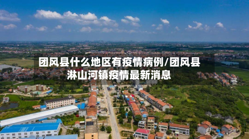 团风县什么地区有疫情病例/团风县淋山河镇疫情最新消息