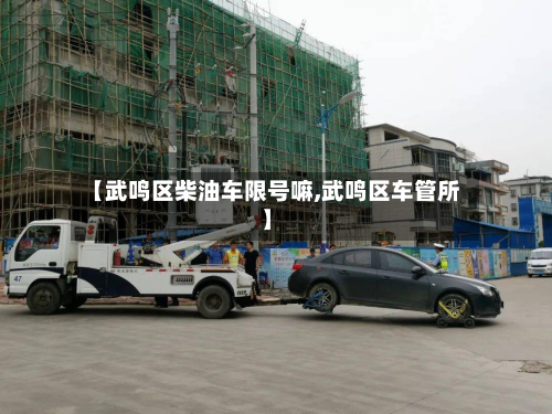 【武鸣区柴油车限号嘛,武鸣区车管所】
