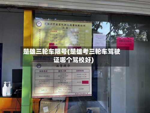 楚雄三轮车限号(楚雄考三轮车驾驶证哪个驾校好)-第2张图片