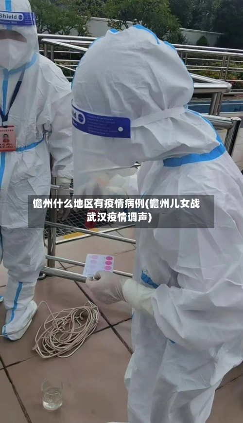 儋州什么地区有疫情病例(儋州儿女战武汉疫情调声)-第2张图片