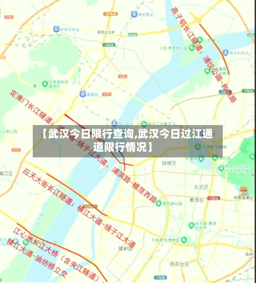【武汉今日限行查询,武汉今日过江通道限行情况】-第2张图片