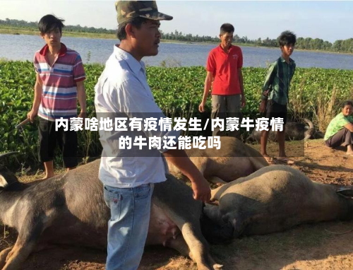 内蒙啥地区有疫情发生/内蒙牛疫情的牛肉还能吃吗
