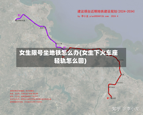 女生限号坐地铁怎么办(女生下火车座轻轨怎么回)-第3张图片
