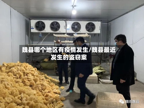 魏县哪个地区有疫情发生/魏县最近发生的盗窃案