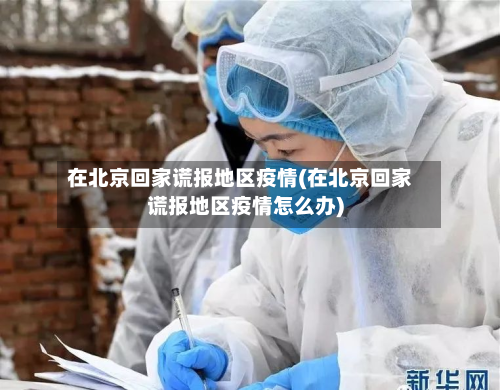 在北京回家谎报地区疫情(在北京回家谎报地区疫情怎么办)-第3张图片