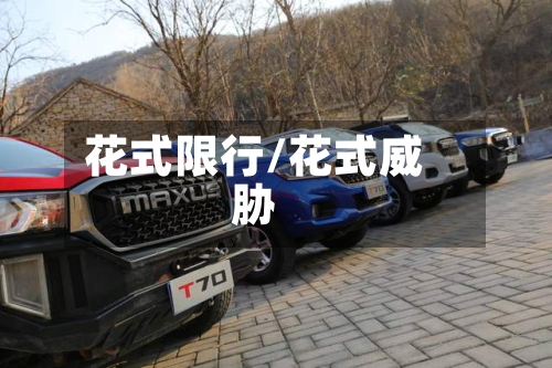 花式限行/花式威胁-第1张图片