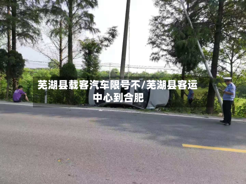 芜湖县载客汽车限号不/芜湖县客运中心到合肥-第2张图片