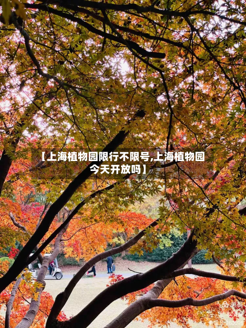 【上海植物园限行不限号,上海植物园今天开放吗】