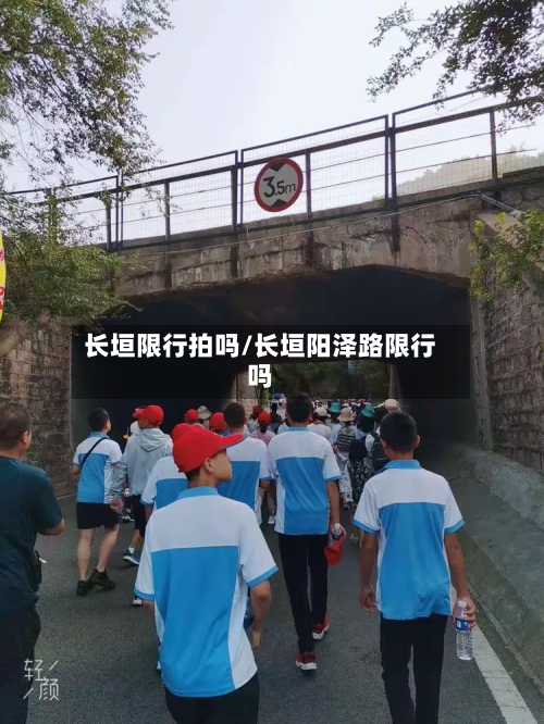 长垣限行拍吗/长垣阳泽路限行吗-第2张图片