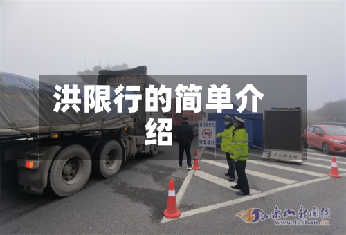 洪限行的简单介绍