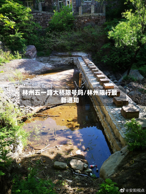林州五一路大桥限号吗/林州限行最新通知