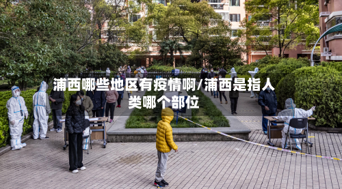 浦西哪些地区有疫情啊/浦西是指人类哪个部位