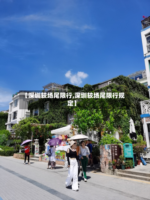 【深圳较场尾限行,深圳较场尾限行规定】