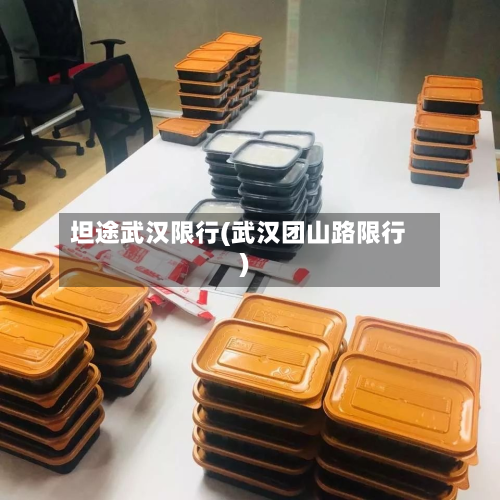 坦途武汉限行(武汉团山路限行)-第3张图片