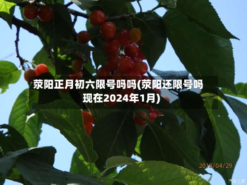 荥阳正月初六限号吗吗(荥阳还限号吗现在2024年1月)-第3张图片