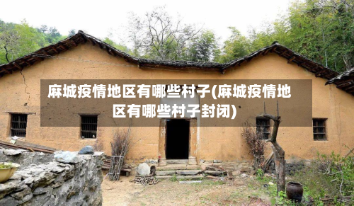 麻城疫情地区有哪些村子(麻城疫情地区有哪些村子封闭)
