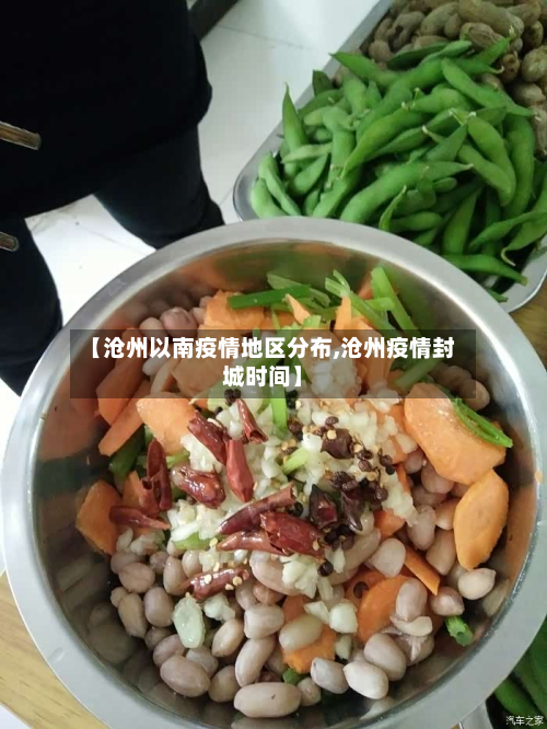 【沧州以南疫情地区分布,沧州疫情封城时间】