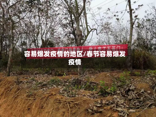 容易爆发疫情的地区/春节容易爆发疫情