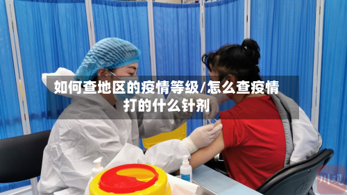 如何查地区的疫情等级/怎么查疫情打的什么针剂-第2张图片