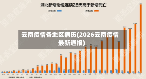 云南疫情各地区病历(2026云南疫情最新通报)-第2张图片