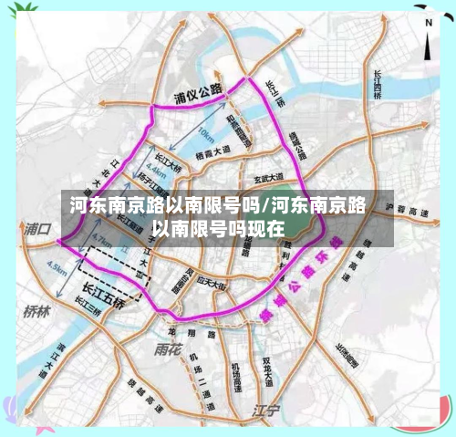 河东南京路以南限号吗/河东南京路以南限号吗现在-第3张图片