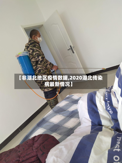 【非湖北地区疫情数据,2020湖北传染病最新情况】-第3张图片