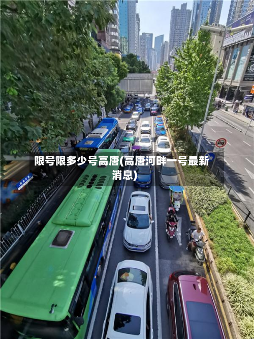 限号限多少号高唐(高唐河畔一号最新消息)