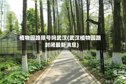 植物园路限号吗武汉(武汉植物园路封闭最新消息)