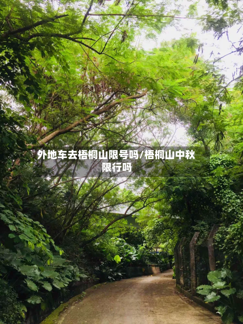 外地车去梧桐山限号吗/梧桐山中秋限行吗