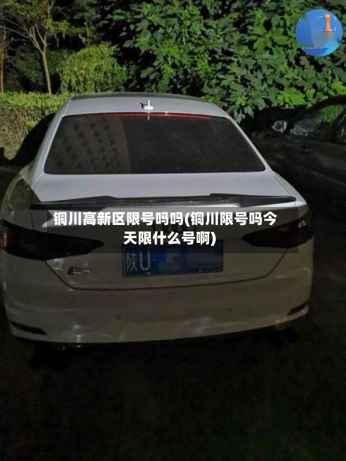 铜川高新区限号吗吗(铜川限号吗今天限什么号啊)