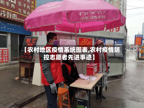 【农村地区疫情系统图表,农村疫情防控志愿者先进事迹】