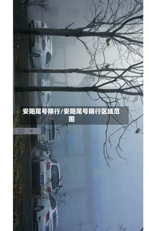 安阳尾号限行/安阳尾号限行区域范围-第2张图片