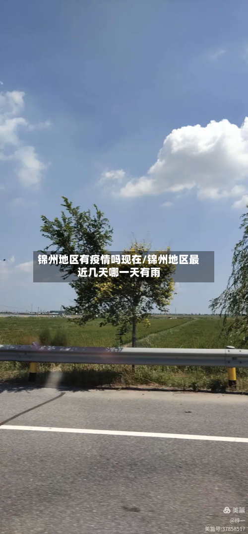 锦州地区有疫情吗现在/锦州地区最近几天哪一天有雨-第2张图片