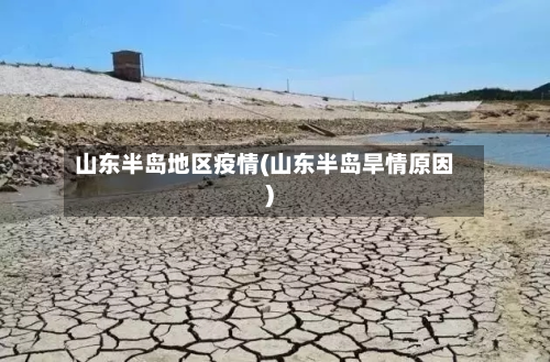 山东半岛地区疫情(山东半岛旱情原因)