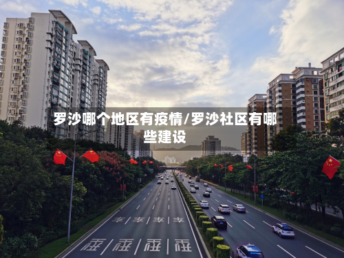 罗沙哪个地区有疫情/罗沙社区有哪些建设