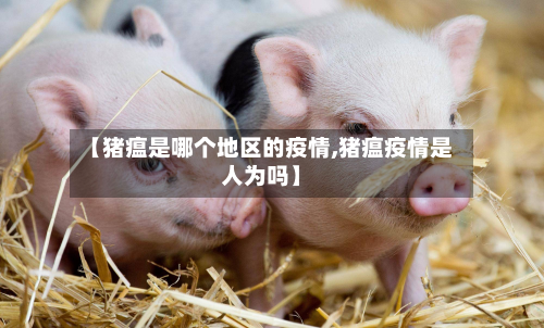 【猪瘟是哪个地区的疫情,猪瘟疫情是人为吗】-第2张图片