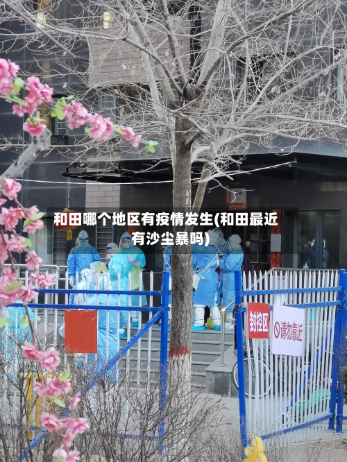 和田哪个地区有疫情发生(和田最近有沙尘暴吗)