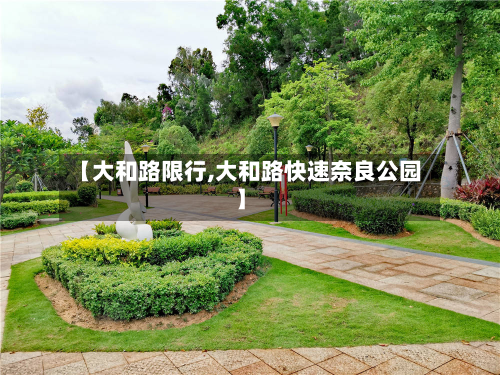 【大和路限行,大和路快速奈良公园】