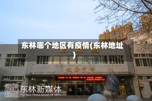东林哪个地区有疫情(东林地址)