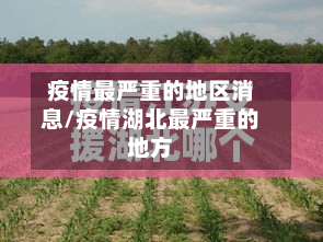 疫情最严重的地区消息/疫情湖北最严重的地方-第3张图片
