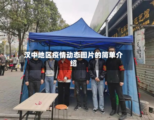 汉中地区疫情动态图片的简单介绍