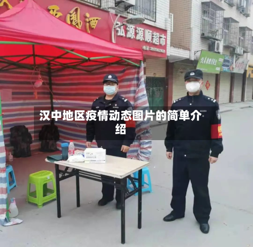 汉中地区疫情动态图片的简单介绍-第2张图片