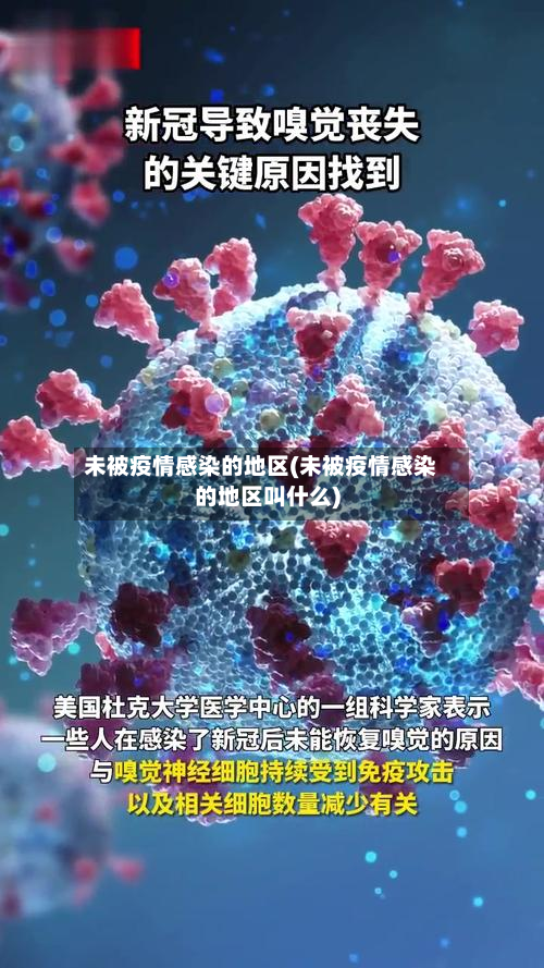 未被疫情感染的地区(未被疫情感染的地区叫什么)-第2张图片